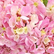 Stems In Bulk: Pink Blossom Hydrangea Flowers